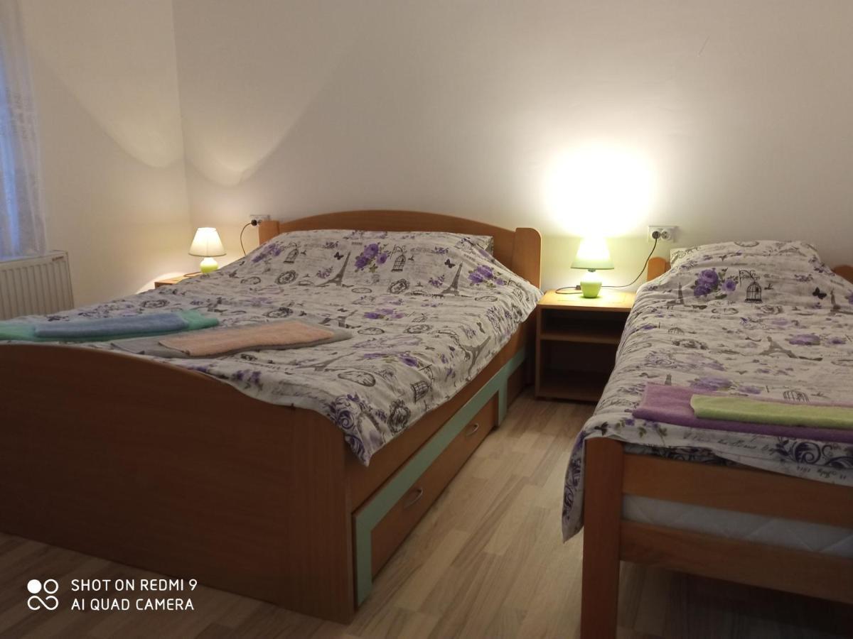 Guest House Vila Banjica Pirot Eksteriør billede