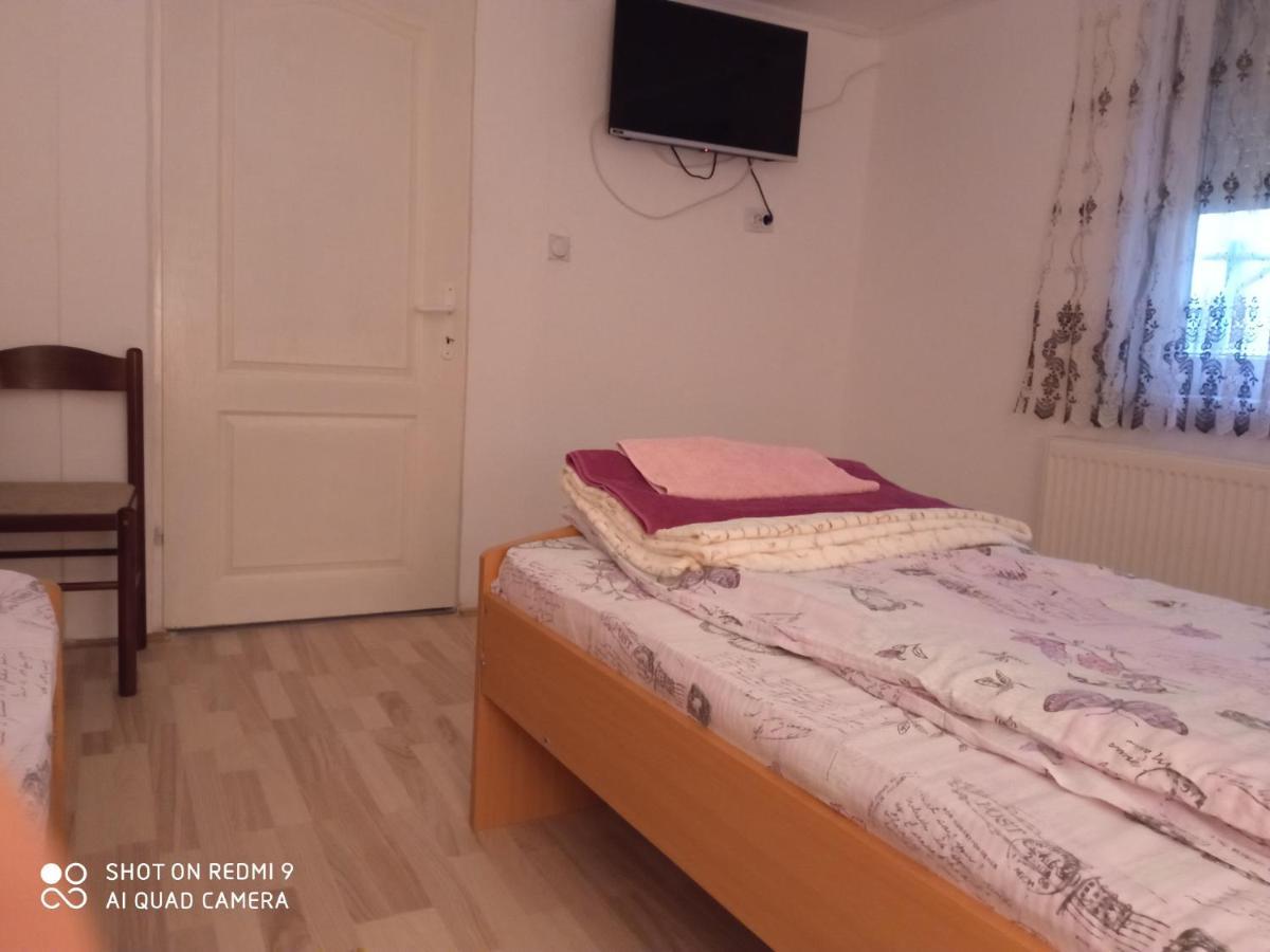 Guest House Vila Banjica Pirot Eksteriør billede
