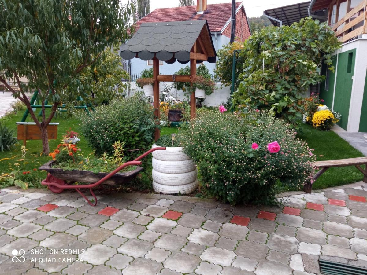 Guest House Vila Banjica Pirot Eksteriør billede