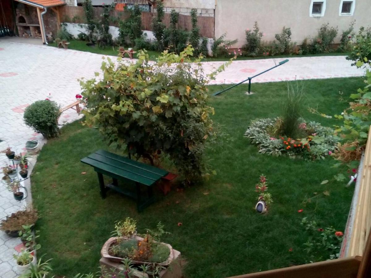 Guest House Vila Banjica Pirot Eksteriør billede