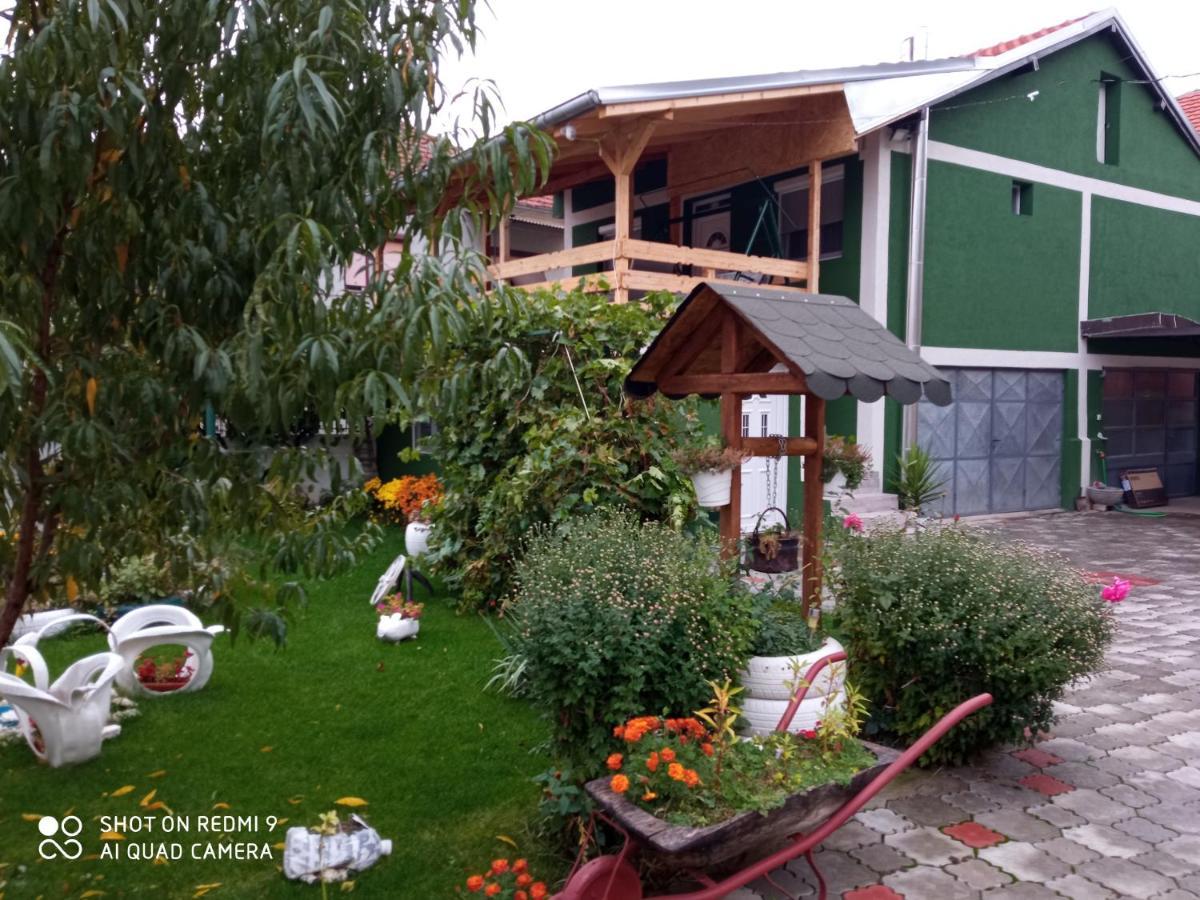 Guest House Vila Banjica Pirot Eksteriør billede