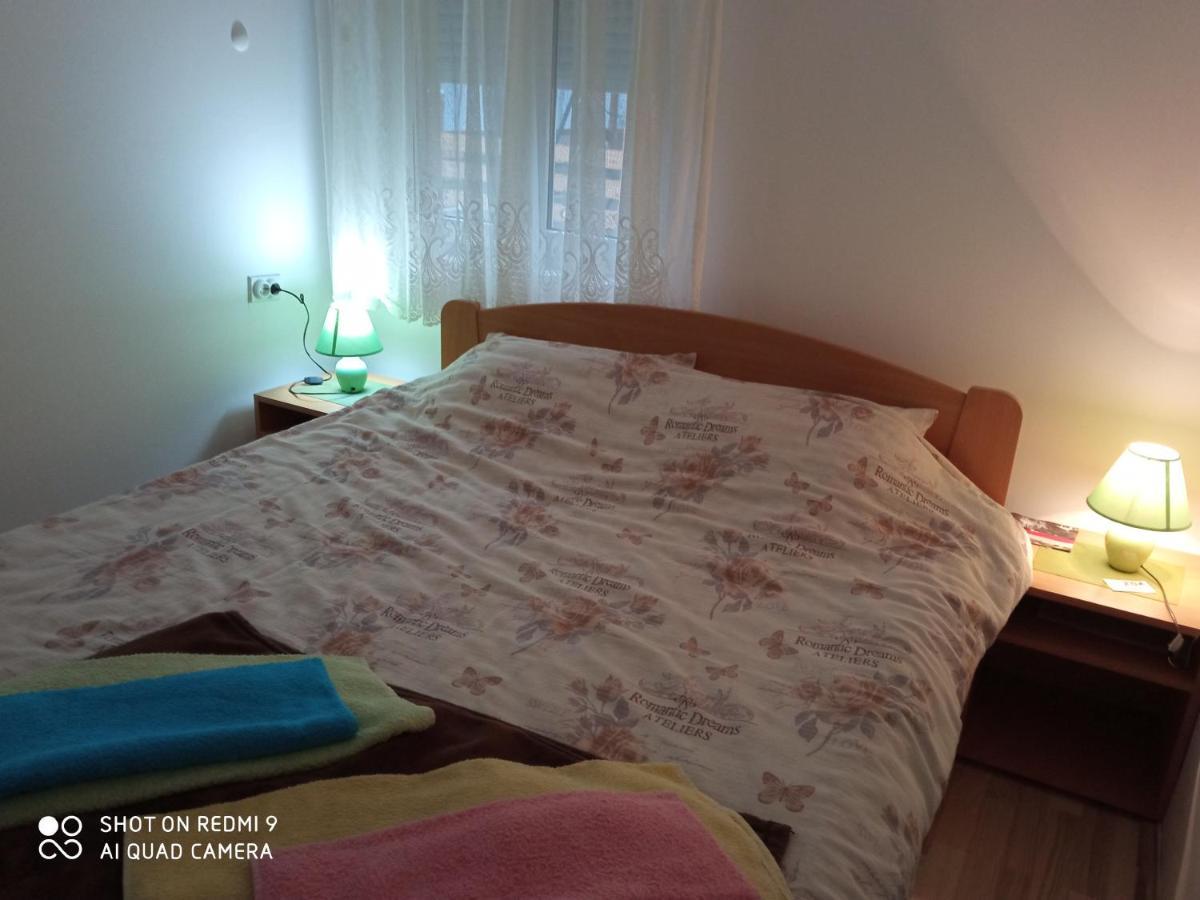 Guest House Vila Banjica Pirot Eksteriør billede