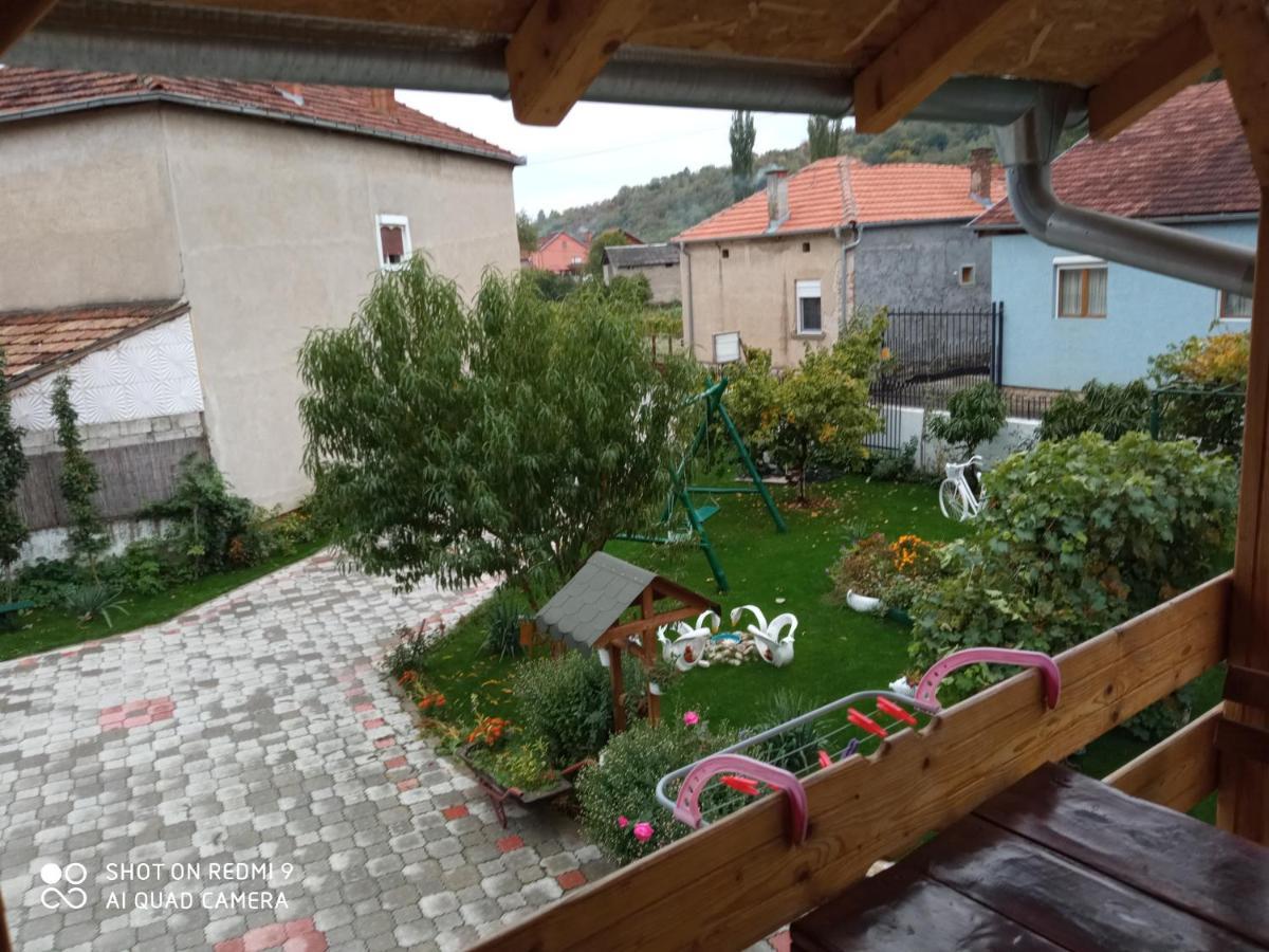 Guest House Vila Banjica Pirot Eksteriør billede