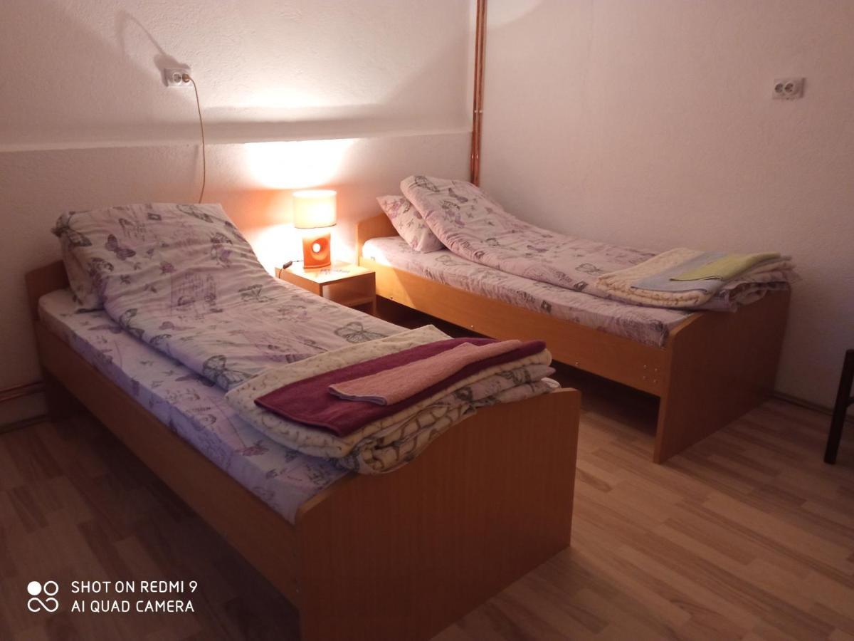 Guest House Vila Banjica Pirot Eksteriør billede