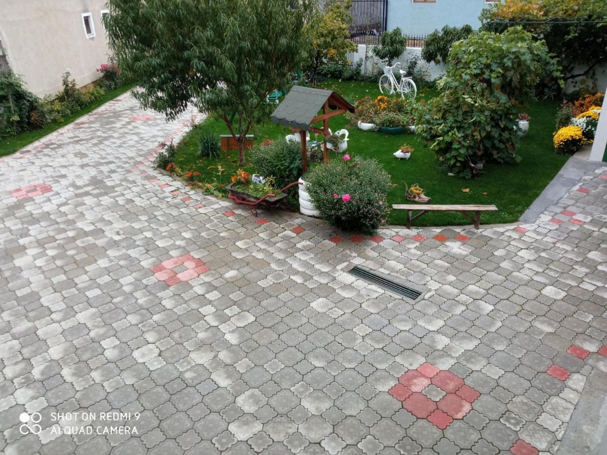 Guest House Vila Banjica Pirot Eksteriør billede