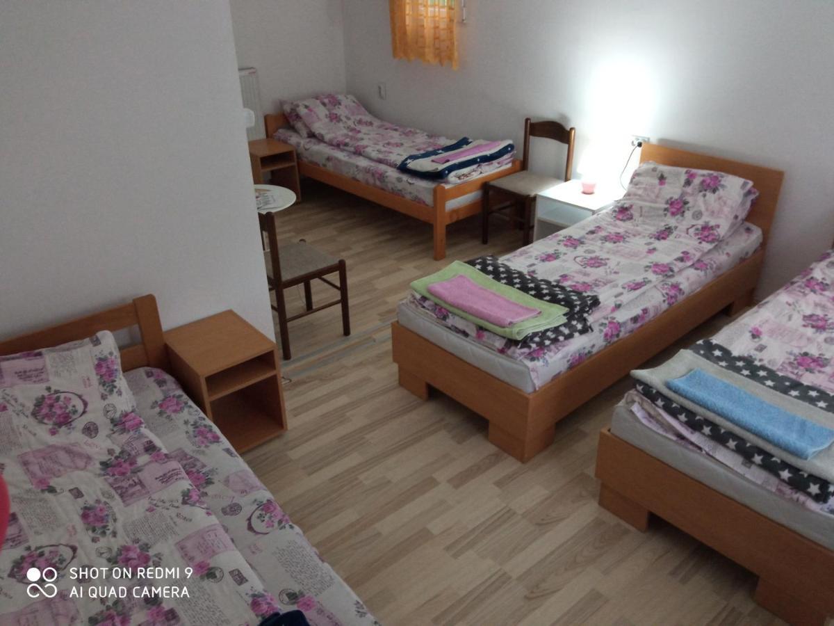 Guest House Vila Banjica Pirot Eksteriør billede