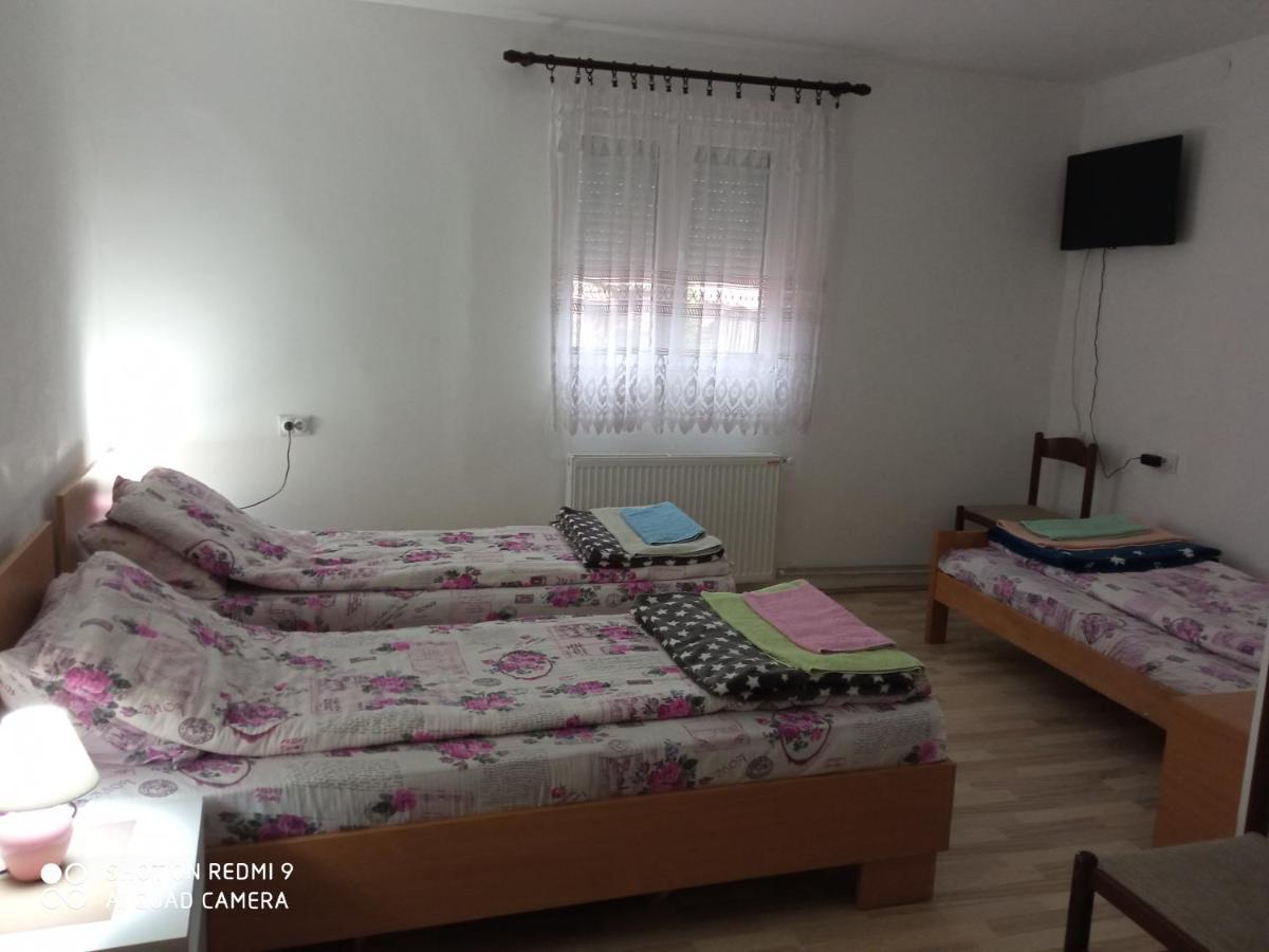 Guest House Vila Banjica Pirot Eksteriør billede