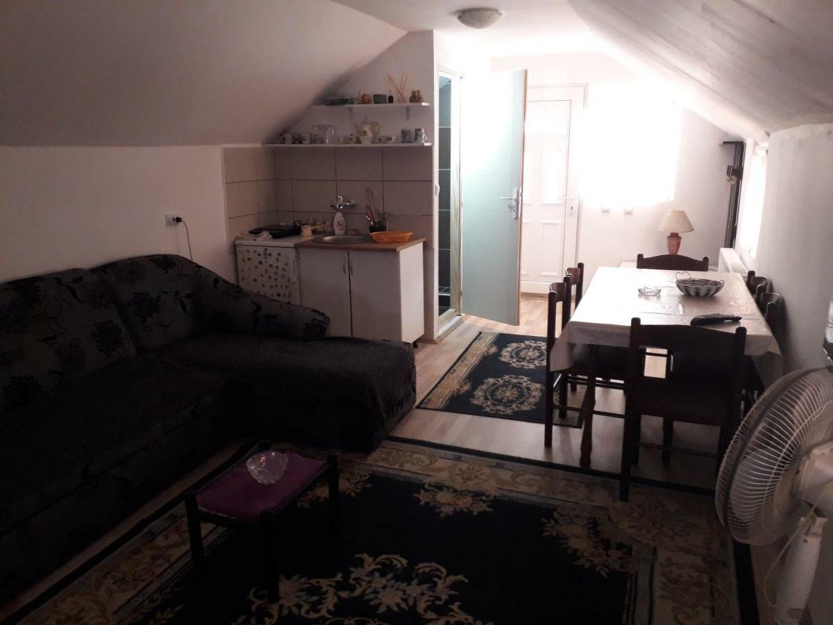 Guest House Vila Banjica Pirot Eksteriør billede