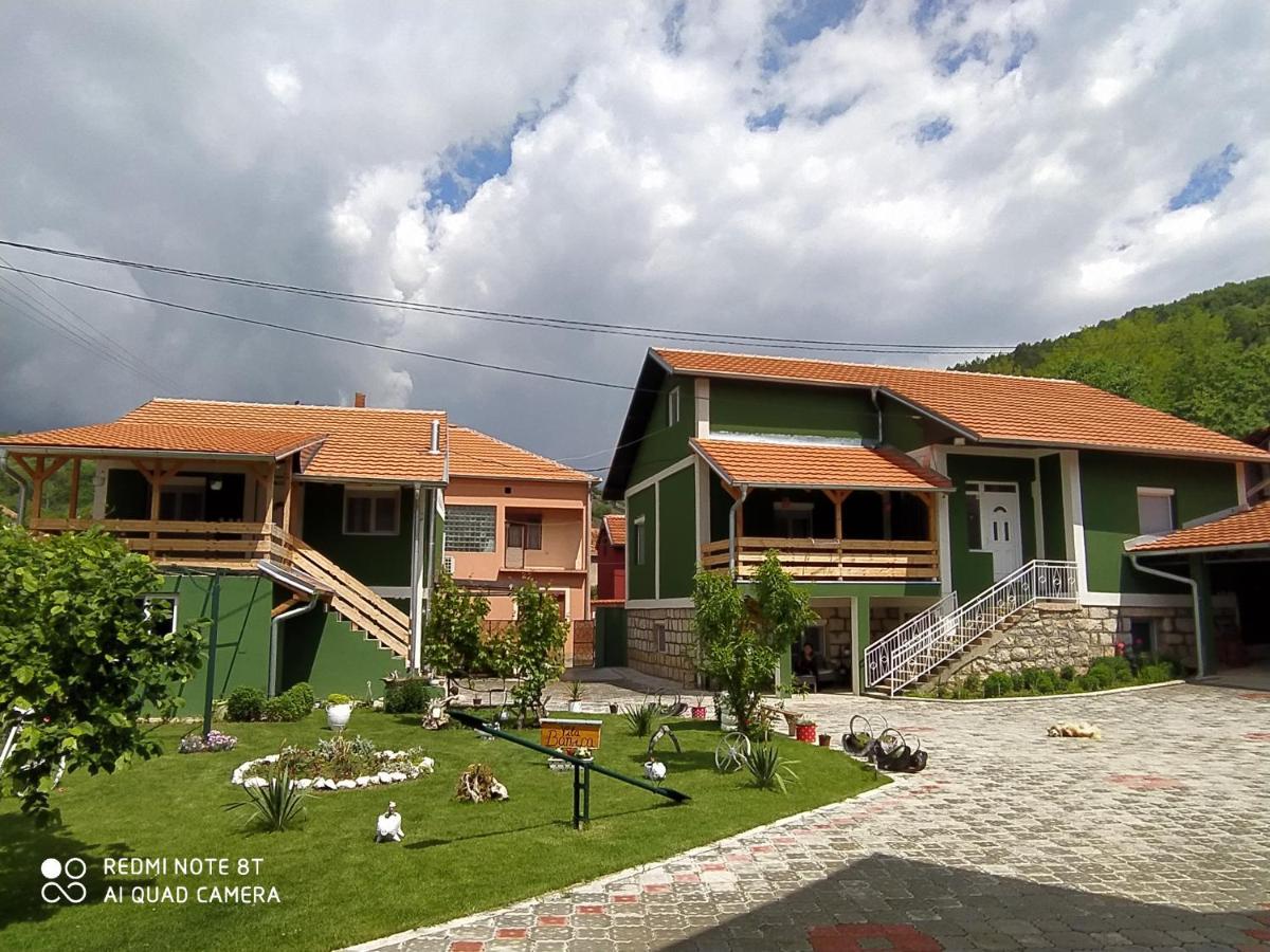 Guest House Vila Banjica Pirot Eksteriør billede