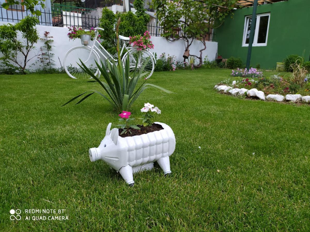 Guest House Vila Banjica Pirot Eksteriør billede