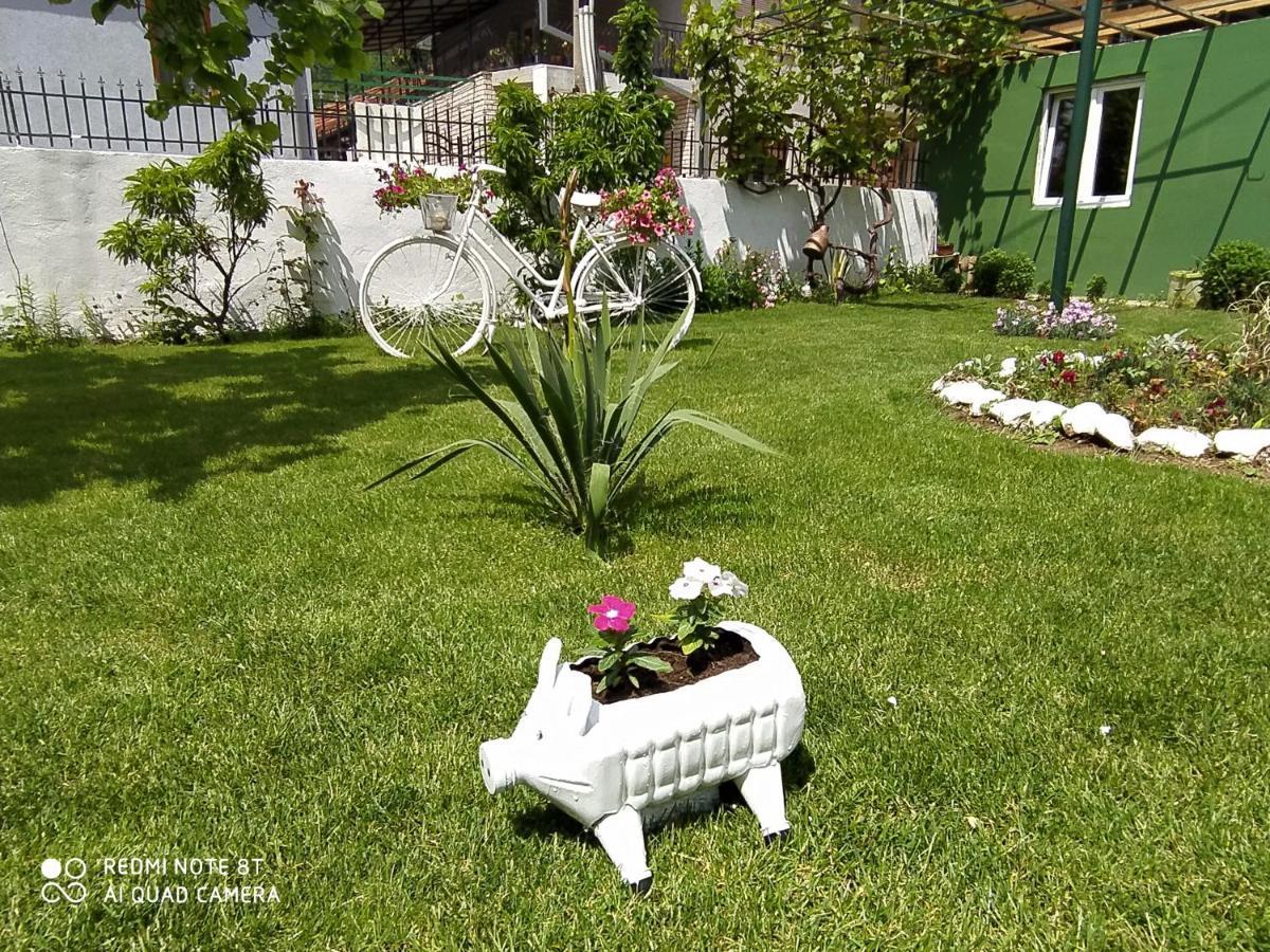Guest House Vila Banjica Pirot Eksteriør billede