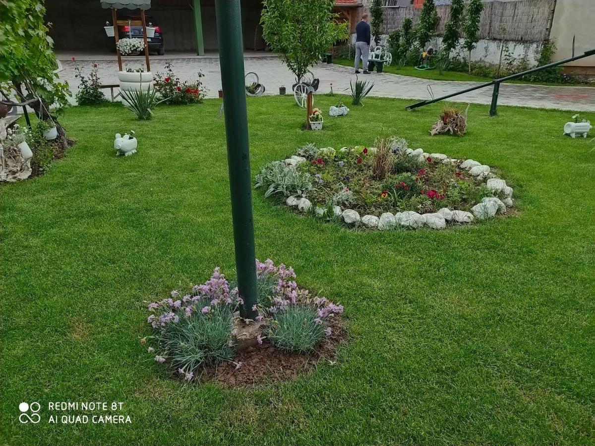 Guest House Vila Banjica Pirot Eksteriør billede