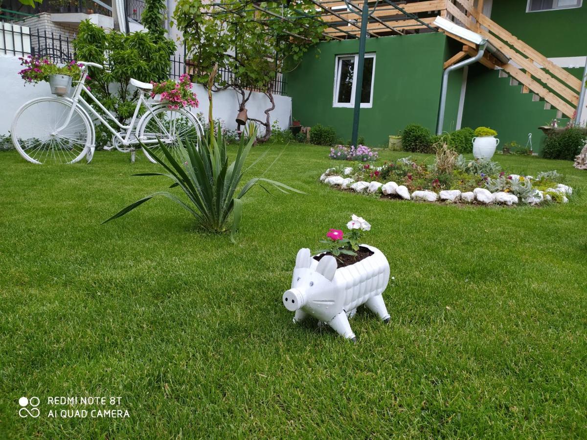 Guest House Vila Banjica Pirot Eksteriør billede